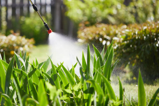 24/7 Emergency Mosquito Control experts in Ten Mile Run, NJ