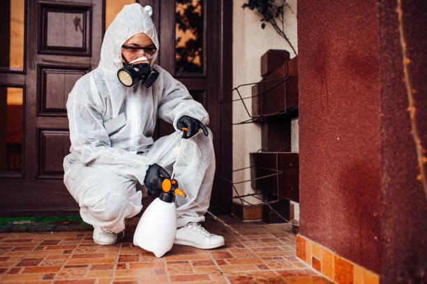 Reliable Mosquito Control contractor in Ten Mile Run, NJ by Nex Pest Control