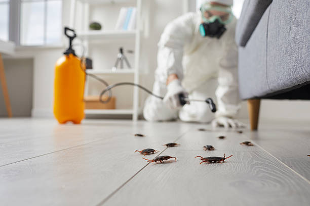 Trusted Fumigation Services service in Ten Mile Run, NJ - Nex Pest Control