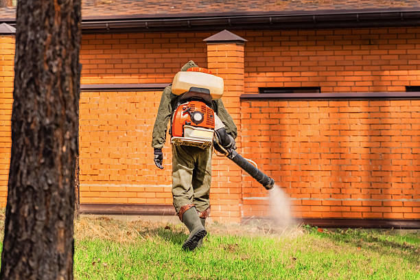 Trusted Emergency Pest Control service in Ten Mile Run, NJ - Nex Pest Control